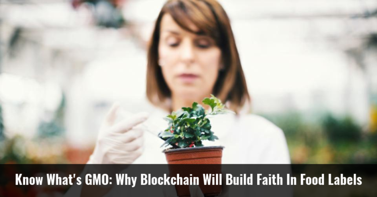 gmo blockchain