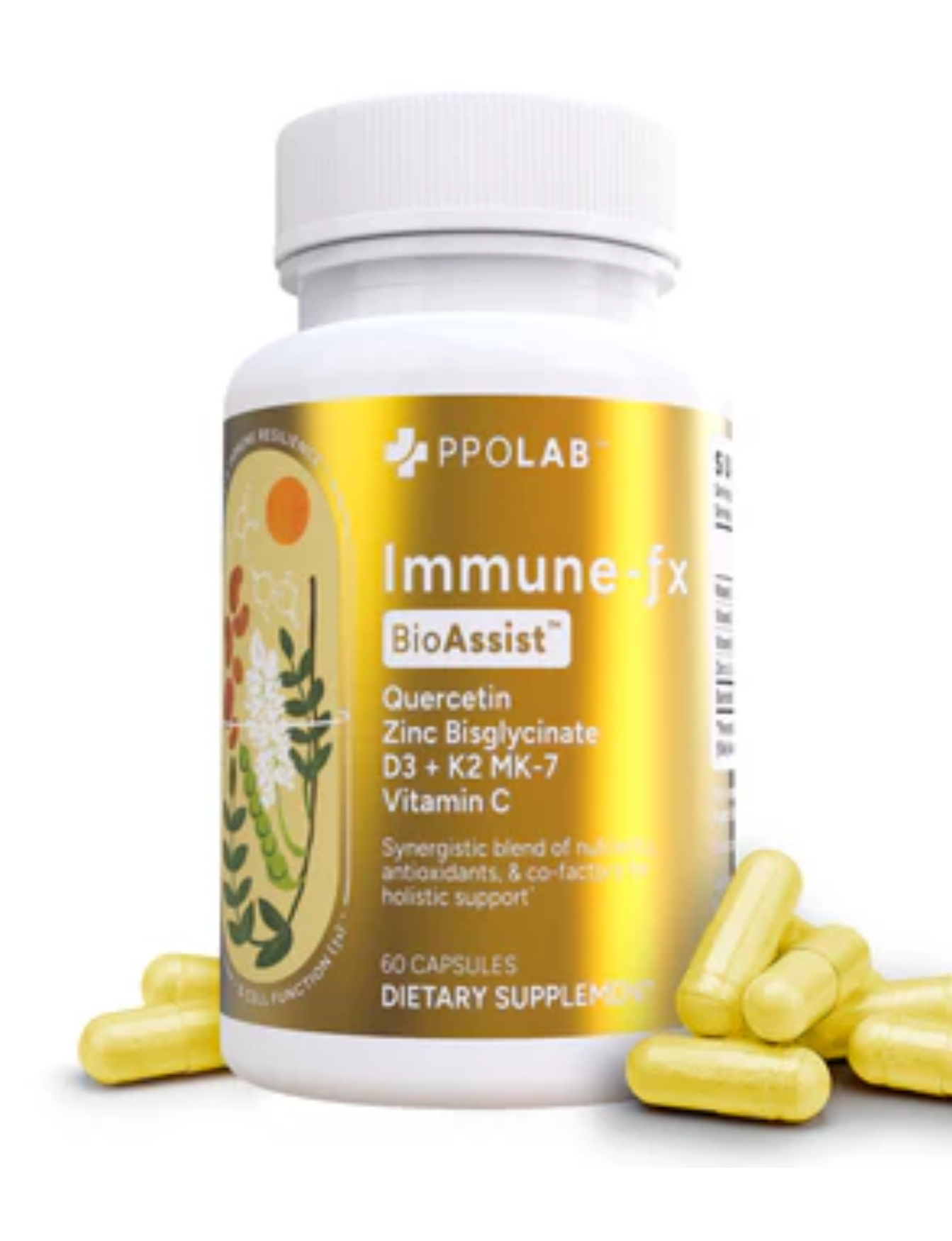 Immune - FX</br>PPOLAB