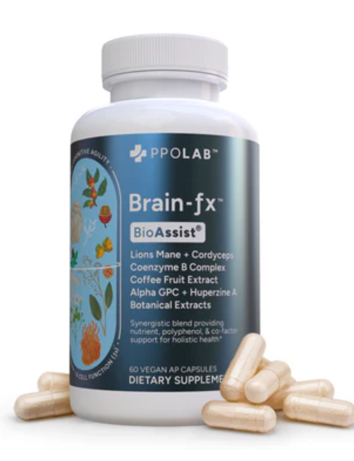Brain - FX</br>PPOLAB